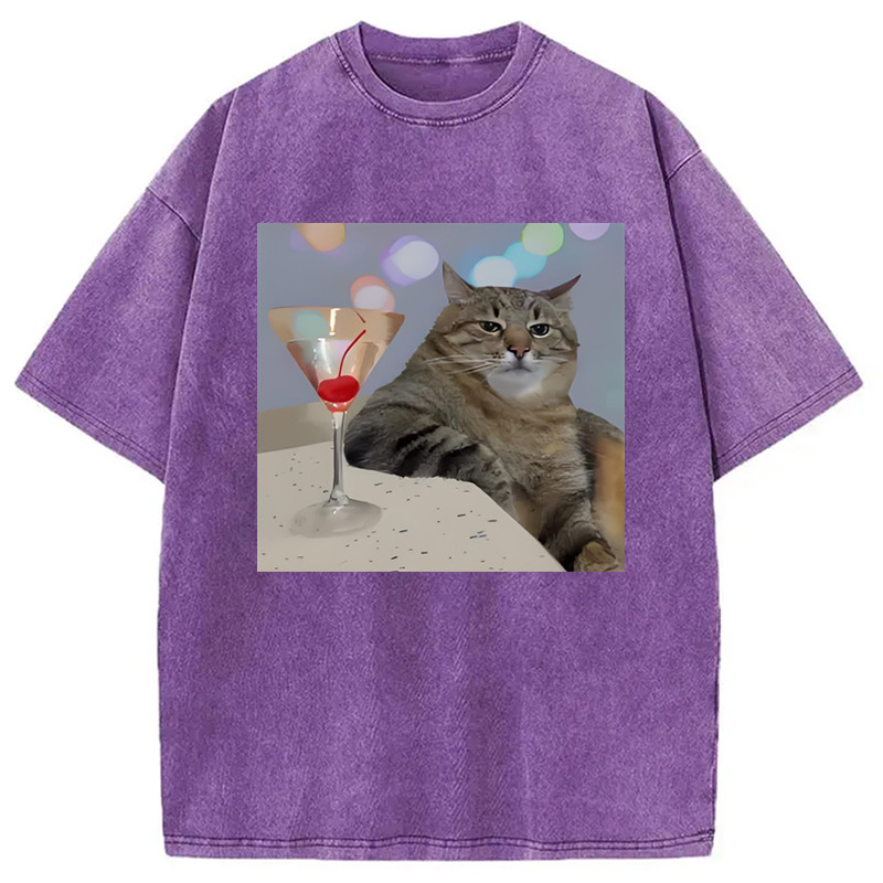 Stepan The Cat Meme Washed T-Shirt Retro Humor Outfit Idea Gifts For Besties