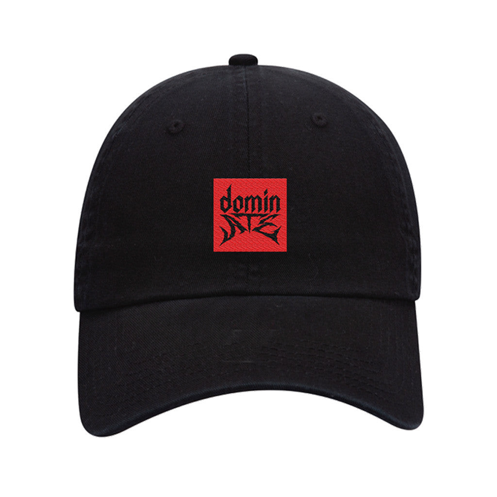 Stray Kids Merch Dominate Tour Black Cap Gift Ideas For Music Lovers Stray Kids Merch Dominate Tour Black Cap Gift Ideas For Music Lovers