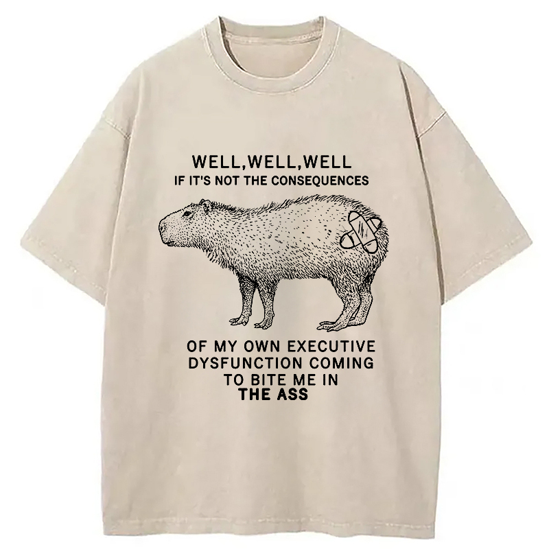 Stupid Capybara Washed T-Shirt Everyday Comfort Graphic Shirt Gifts For Brother