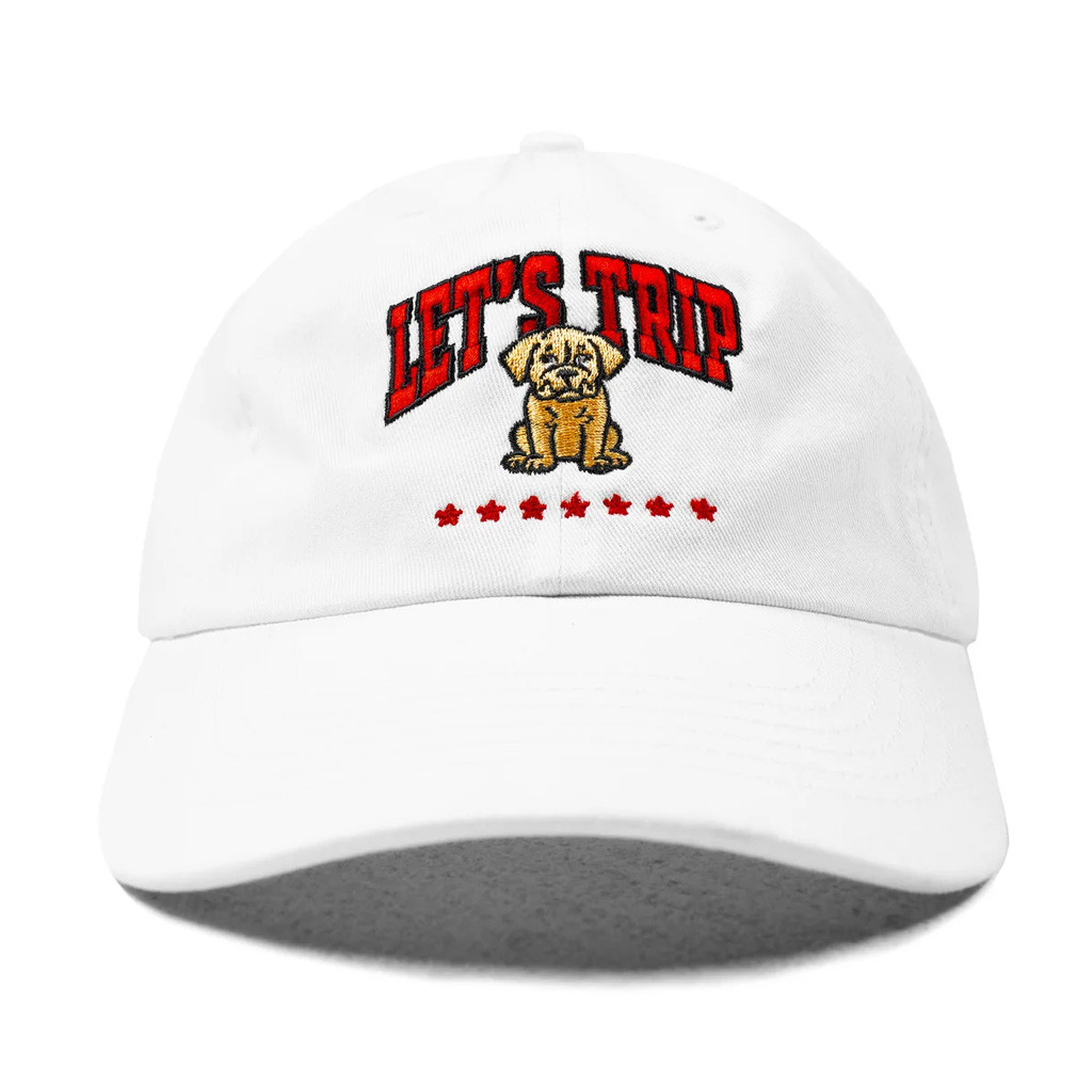 Sturniolo Triplets Merch Let's Trip Trevor Hat Embroidered Gift Ideas For Brother