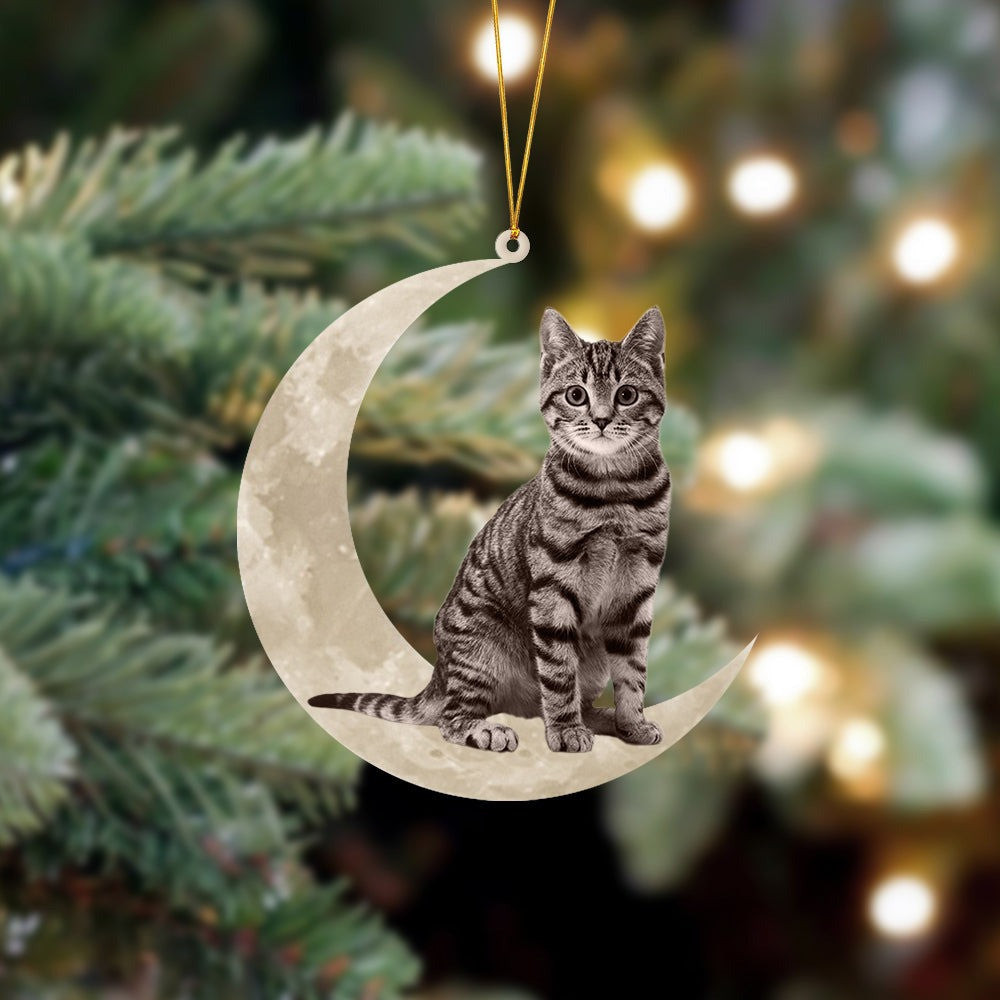 Tabby Cat Sits On The Moon Ornament Shape Tabby Cat Lover Christmas Tree Ornaments Gifts Tabby Cat Sits On The Moon Ornament Shape Tabby Cat Lover Christmas Tree Ornaments Gifts