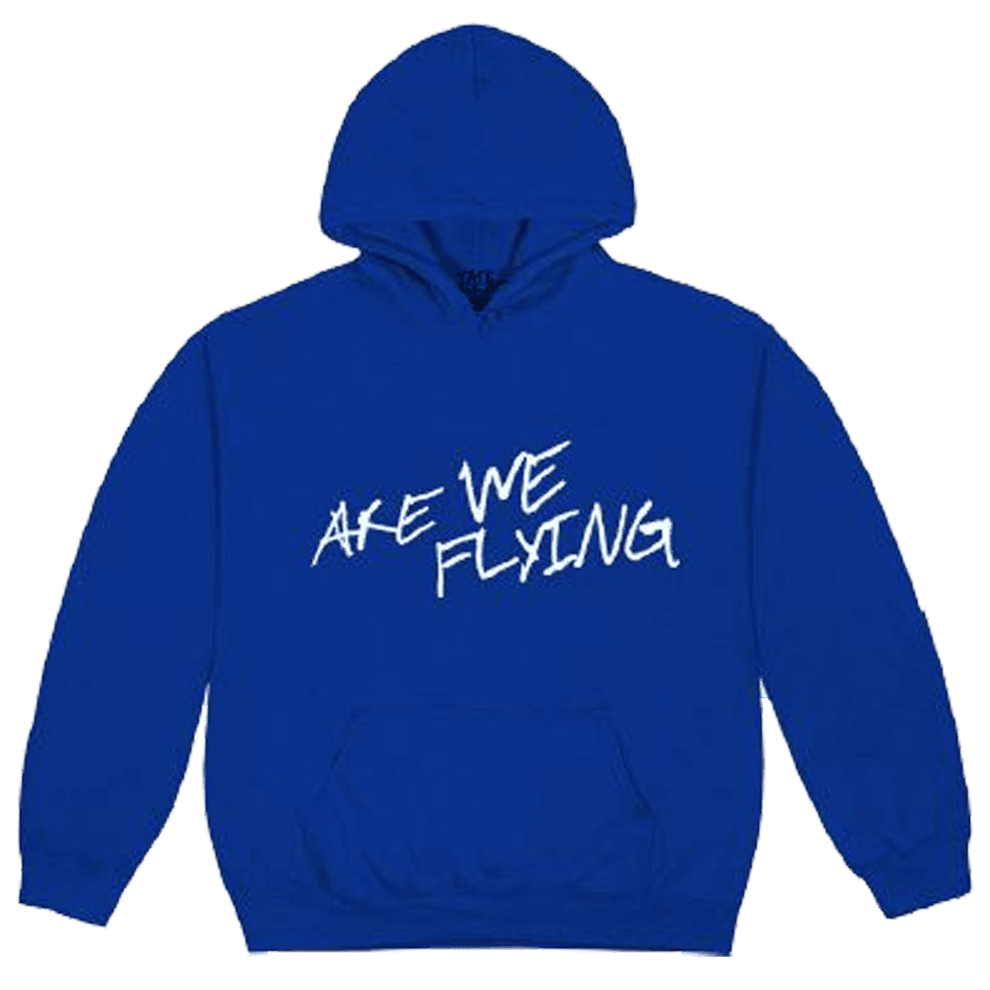 Tate McRae Merch Hoodie Tate McRae Are We Flying Hoodie Canadian Music Fan Gifts