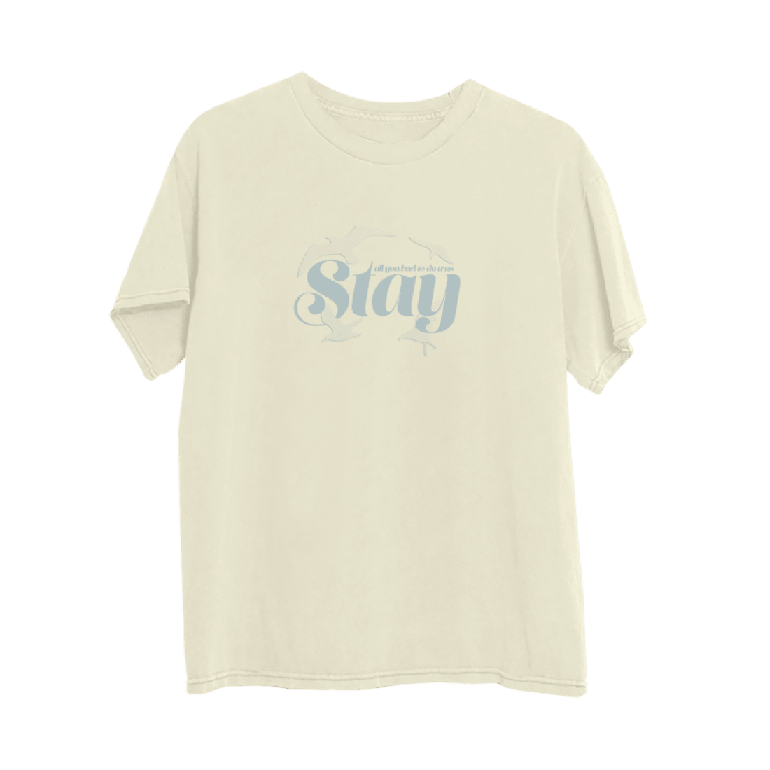 Taylor Swift Merch T-Shirt 1989 Taylor's Version Swifties Presents For Taylor Swift Fans