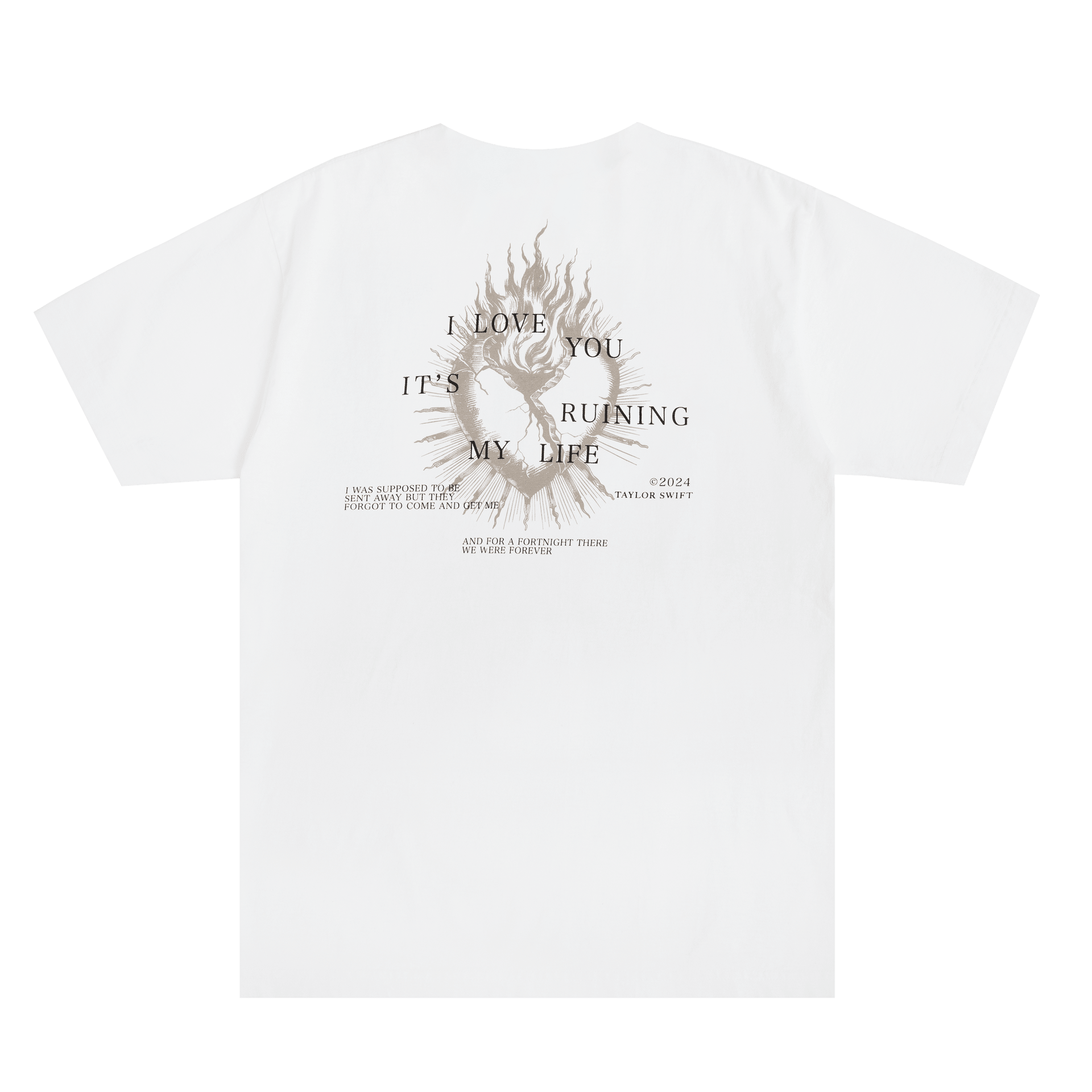 Taylor Swift Merch T-Shirt And For A Fortnight There We Were Forever Best Gift For A Swiftie