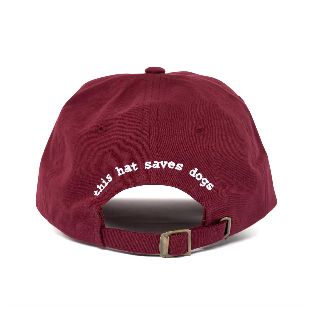 Tell Your Dog I Said Hi Merch Embroidered Tell Your Dog I Said Hi Hat Christmas Gifts For Him