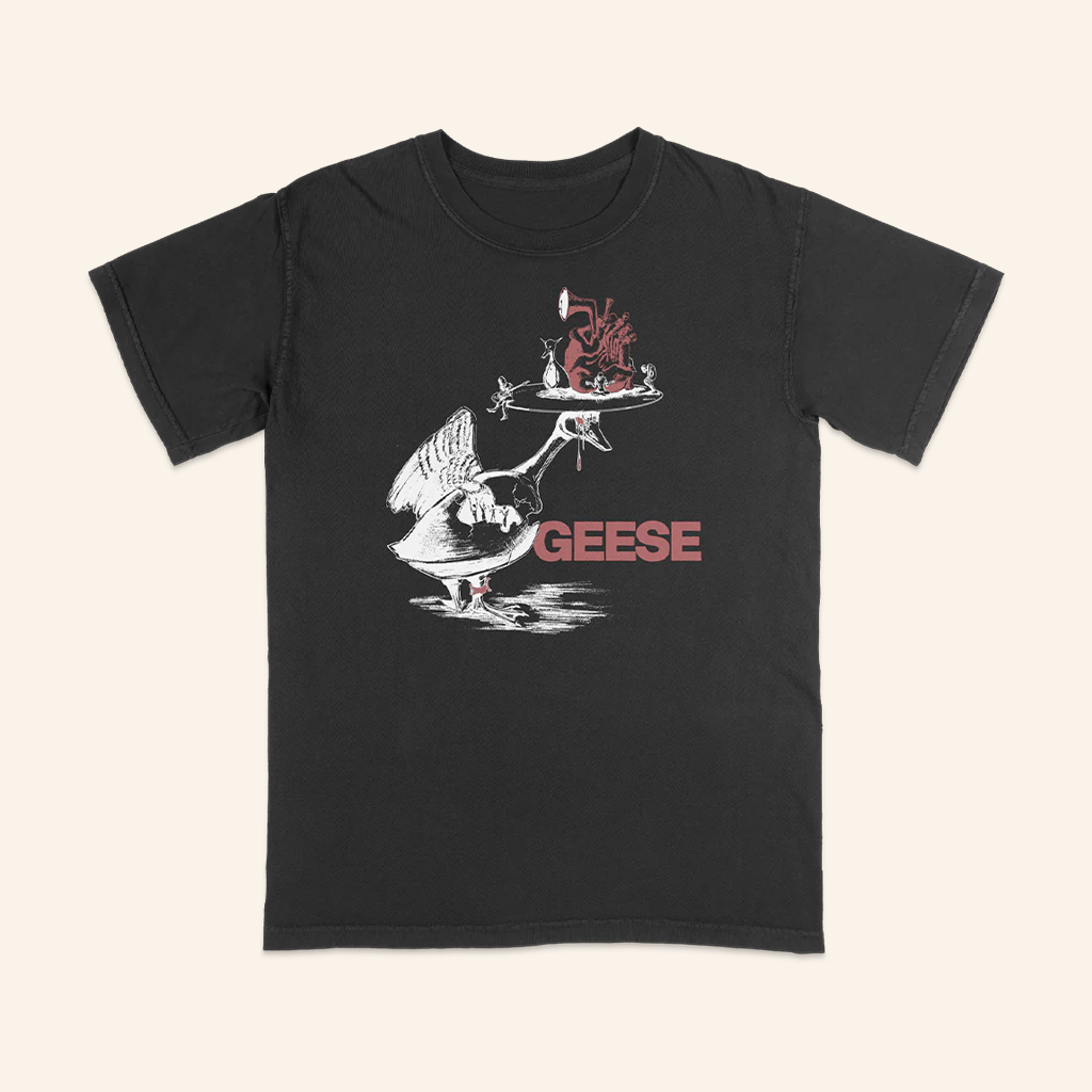 Terrible Geese Merch Bosch T-Shirt Geese Shirt Good Gifts For Boyfriend