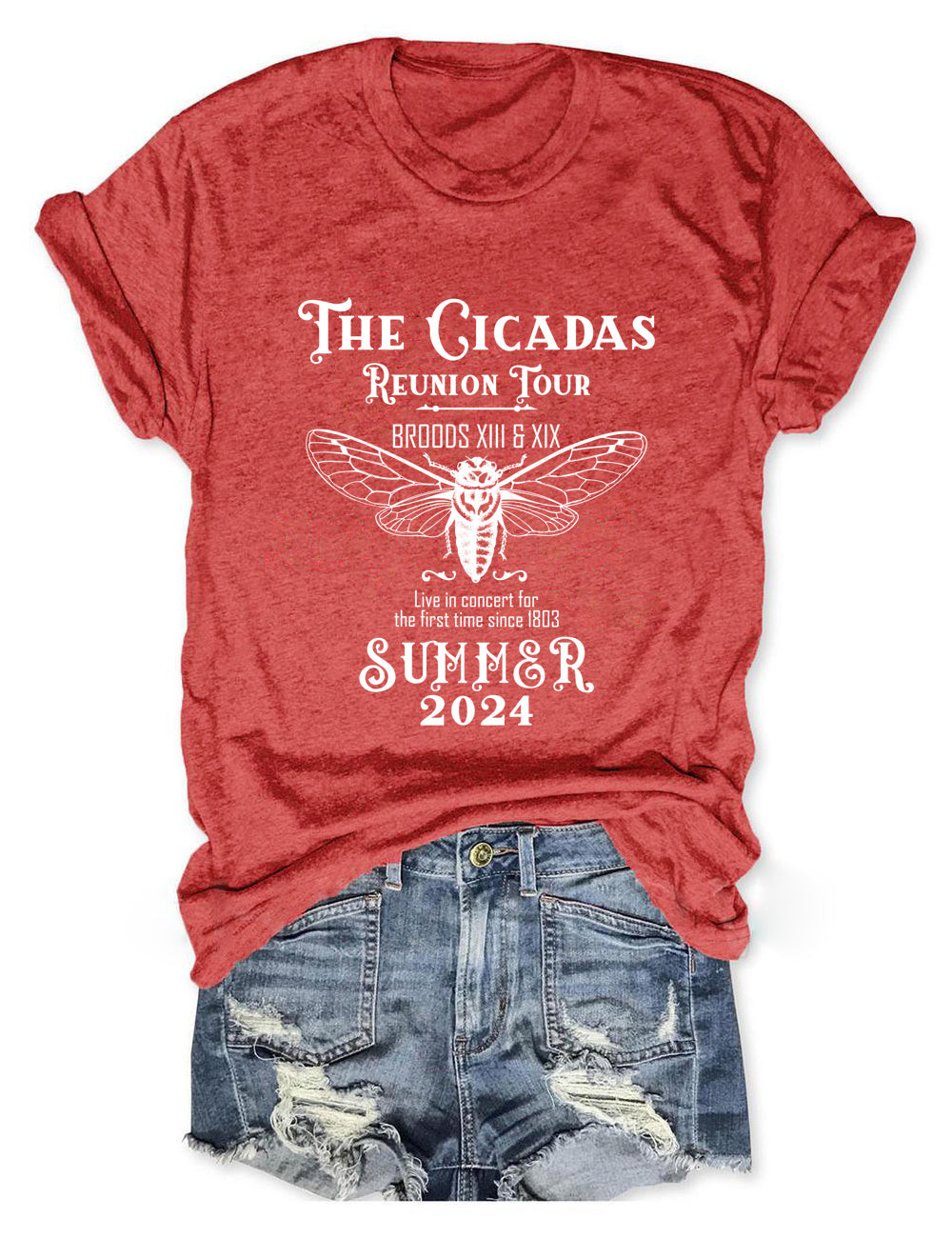 The Cicadas Reunion Tour Graphic T-Shirt Humorous Shirt Unique Present Ideas