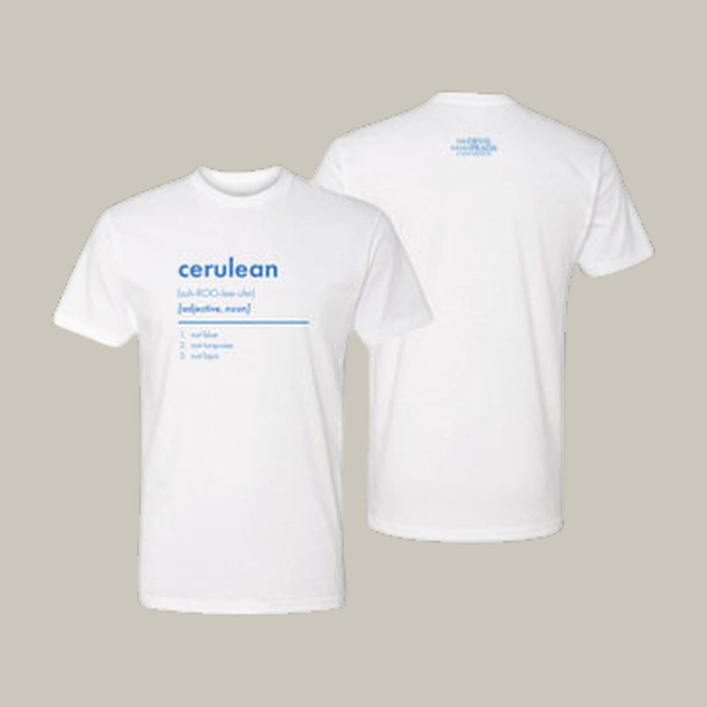 The Devil Wears Prada Cerulean Definition T-Shirt Comedy Series Shirt Gift For Husband