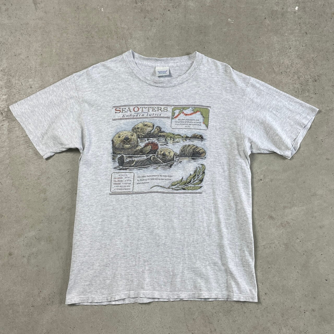 The Enhydra Lutris Sea Otter T-Shirt Aquatic Mammal Best Monterey Bay Aquarium Otter Apparel