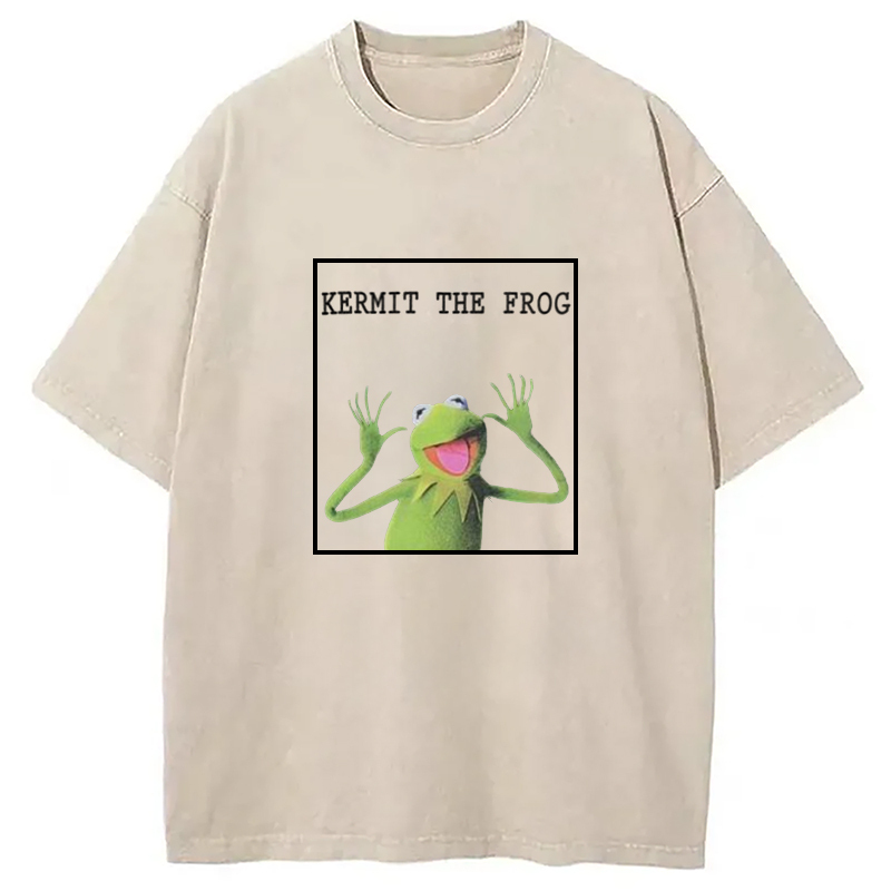 The Frog Meme Washed T-Shirt Funny Graphic Gift For Friends Gifts For Brother