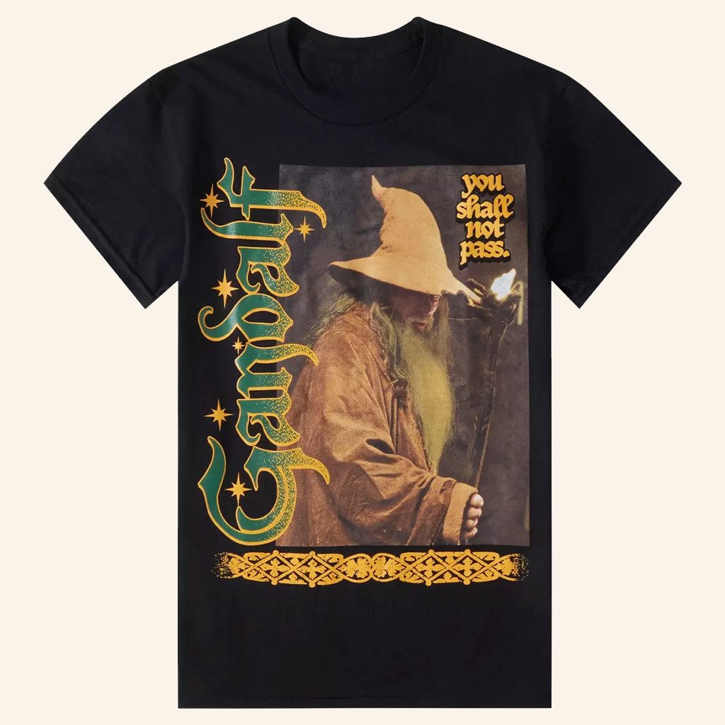 The Lord Of The Rings Merch Gandalf You Shall Not Pass T-Shirt Gifts For Brothers