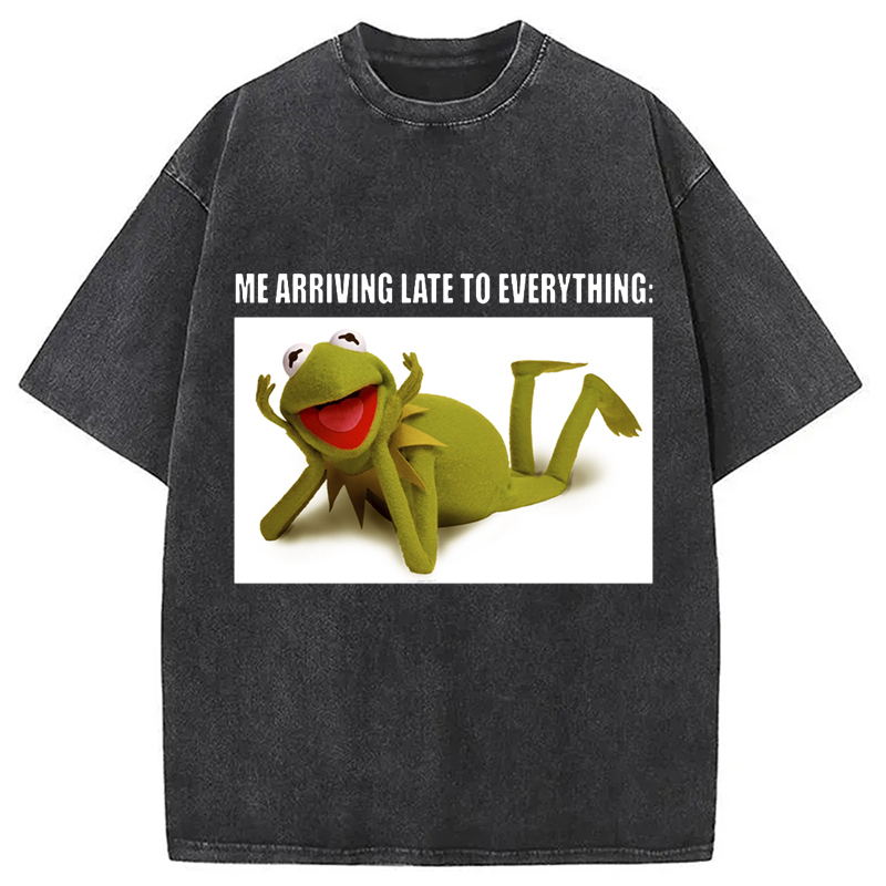 The Muppets Kermit Meme Washed T-Shirt Cool Graphic Tee For Men Women Gifts For Her