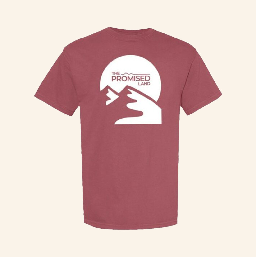The Promised Land Merch Moses T-Shirt Gifts For Dudes