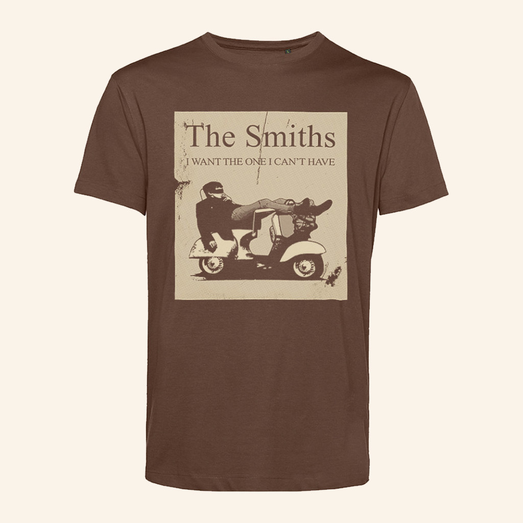 The Smiths Merch I Want The One I Can't Have T-Shirt Gifts Ideas For Friends