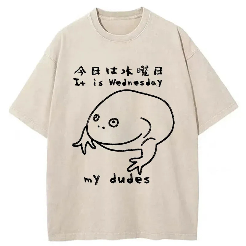 Today Is Wednesday Washed T-Shirt Funny Quote Unisex Shirt Gifts For Sister