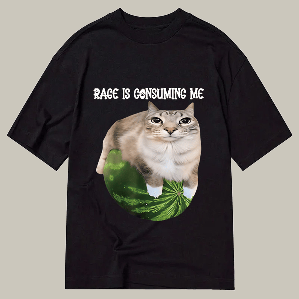 Tokyocanvas Rage Is Consuming Me Cat Meme Classic T Shirt Hilarious Shirt Family Xmas Ideas