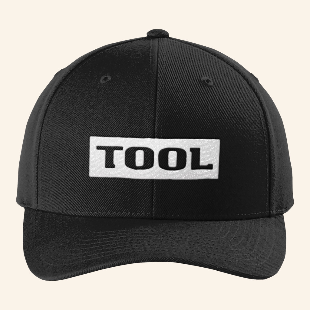 Tool Merch Embroidered AENIMA Logo Hat Birthday Gift For Husband