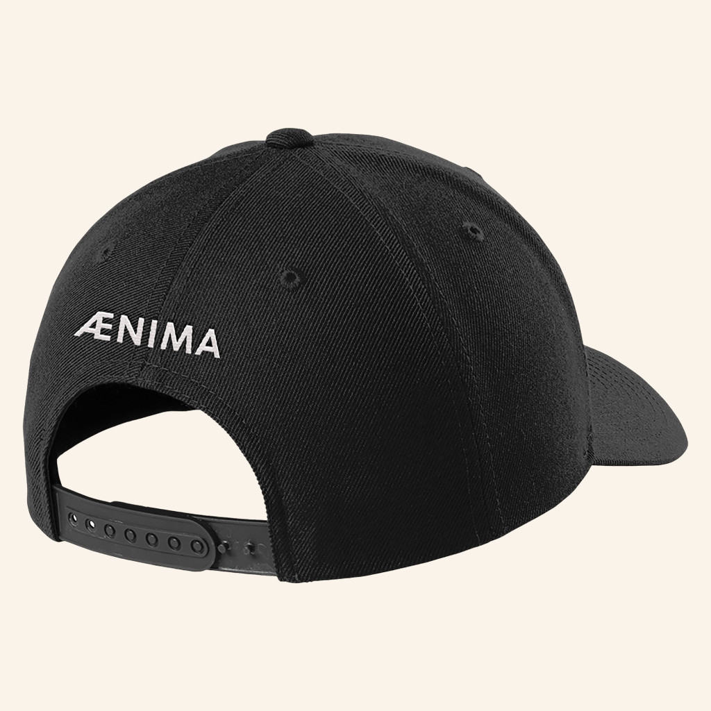 Tool Merch Embroidered AENIMA Logo Hat Birthday Gift For Husband