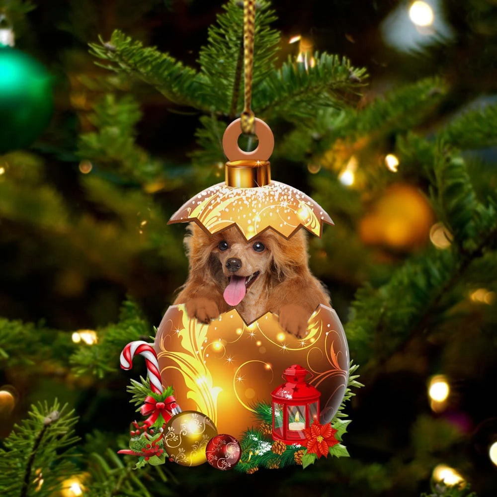 Toy Poodle In in Golden Egg Christmas Ornament Flat Acrylic Dog Ornament