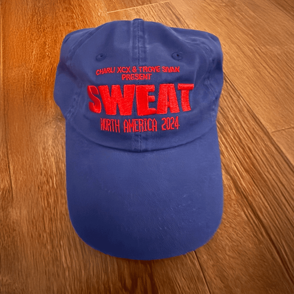 Troye Sivan x Charli XCX Sweat Tour Merch Sweat North America 2024 Embroidered Hat Father Gifts