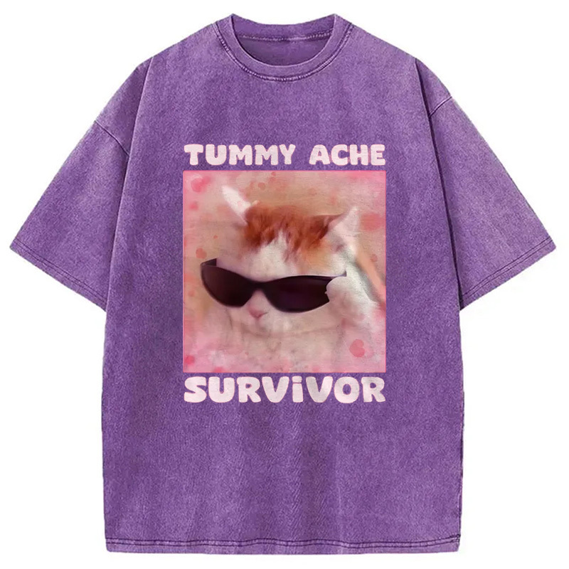Tummy Ache Survivor Funny Cat Meme Washed T-Shirt Retro Humor Outfit Idea Gifts For Brother