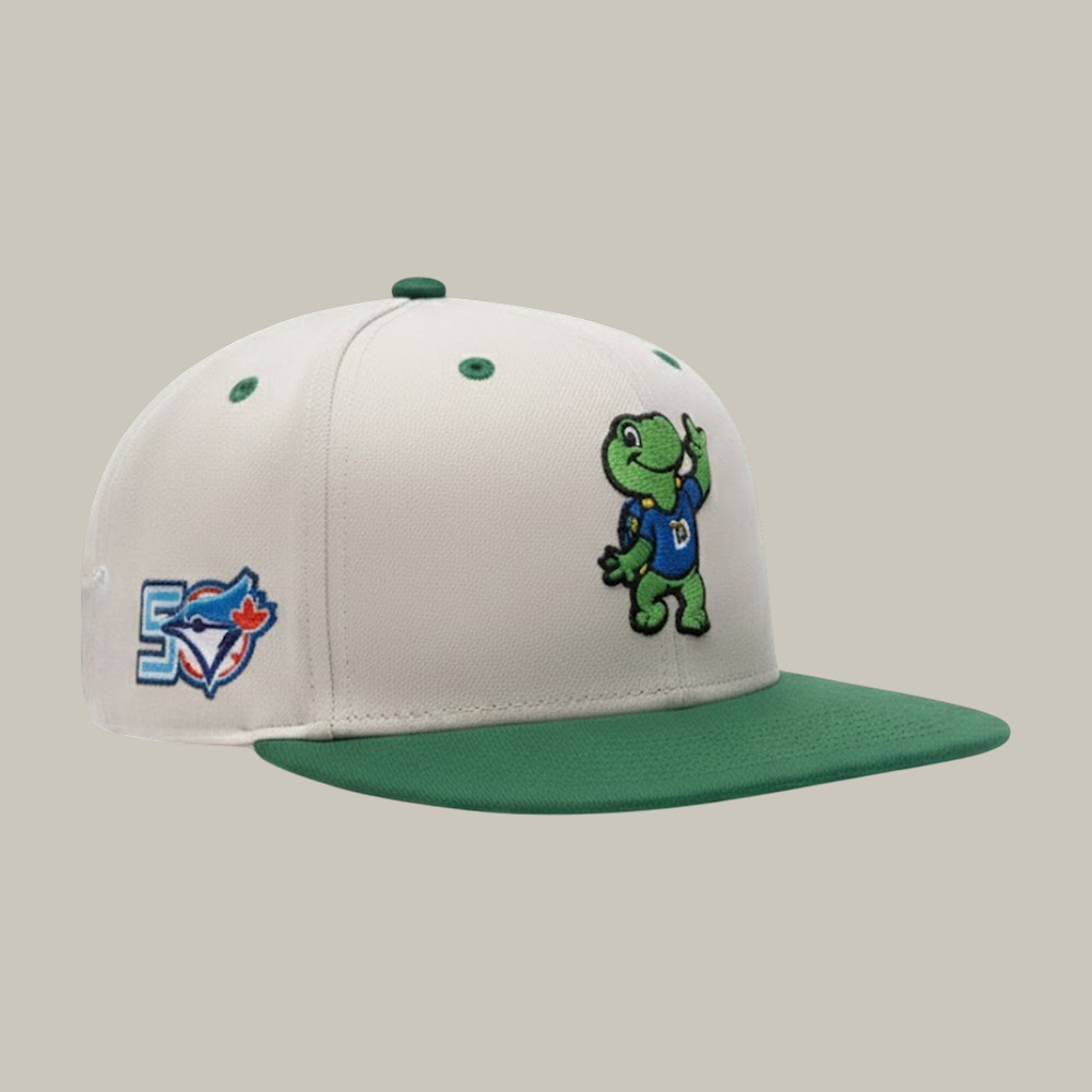 Turtle Toronto Blue Jay 2026 Domer Hat Baseball Merch Best Gift For Toronto Blue Jays Fans