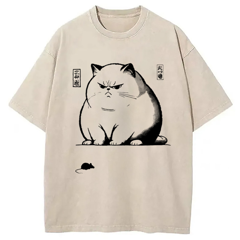 Unimpressed Cat Grumpy Cat Washed T-Shirt Everyday Comfort Graphic Shirt Gifts For Sister