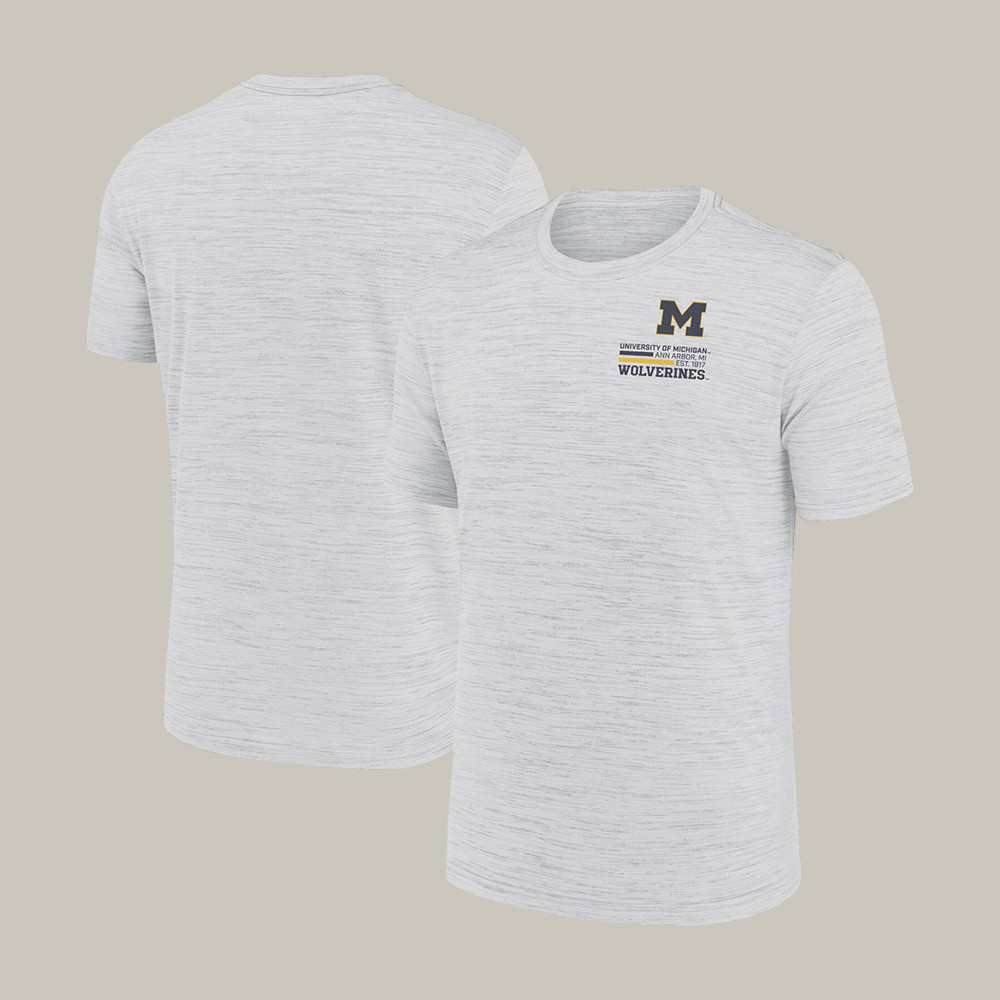 University Of Michigan Basketball Final Four T-Shirt Michigan Wolverines Fan Shirt Game Day Gear