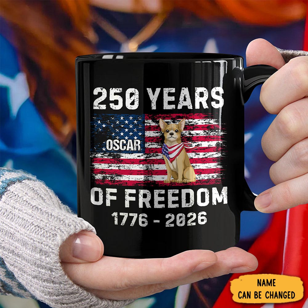 US 250 Years Of Freedom 1776 2026 Mug Fourth Of July Cup Best Coffee Cup