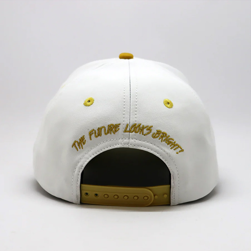 Valuetainment Merch Lion Shield The Future Looks Bright Embroidered Hat Gifts For Dad Valuetainment Merch Lion Shield The Future Looks Bright Embroidered Hat Gifts For Dad