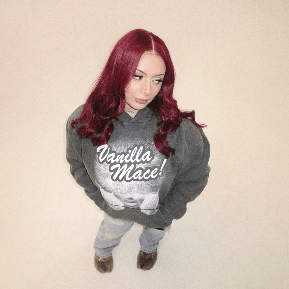 Vanillamace Merch Vanilla Mace Hoodie Gifts For Sister Vanillamace Merch Vanilla Mace Hoodie Gifts For Sister