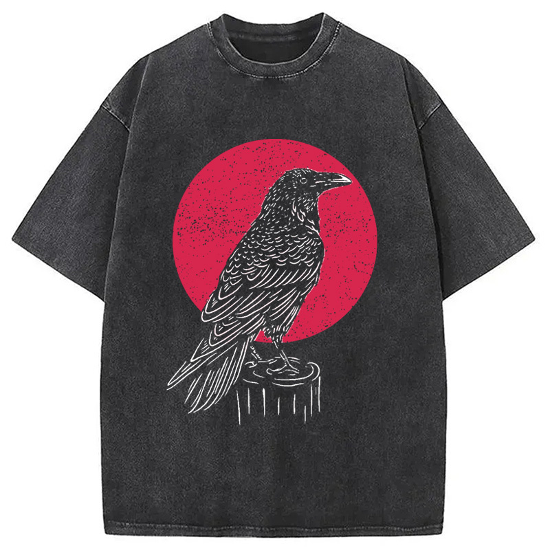 Viking Raven Crow Witchcraft Occult Pagan Washed T-Shirt Retro Humor Graphic Top Gifts For Brother