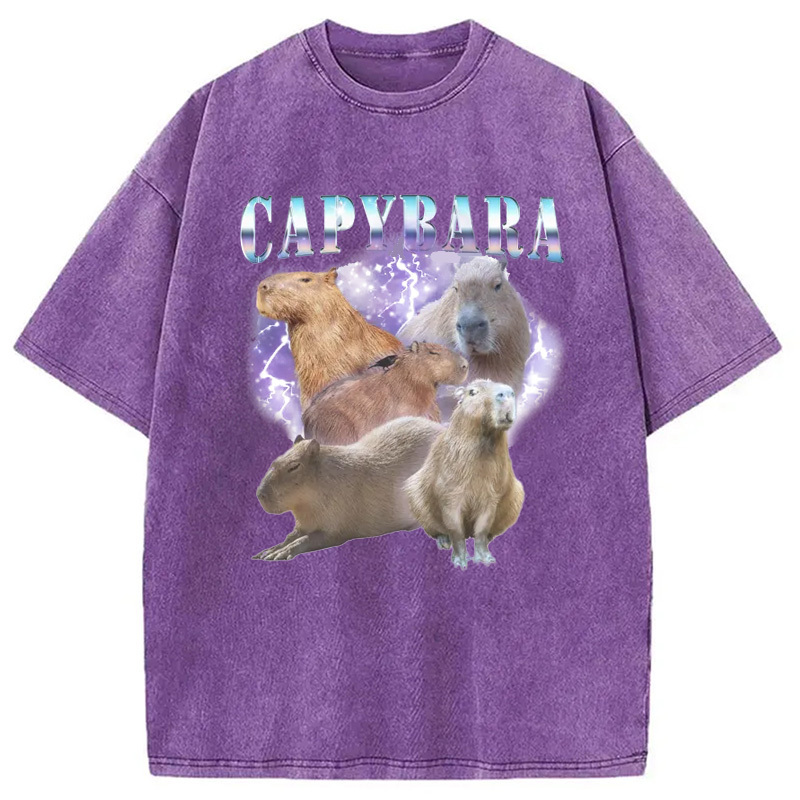 Vintage Capybara Washed T-Shirt Funny Aesthetic Trendy Apparel Gifts For Friends Vintage Capybara Washed T-Shirt Funny Aesthetic Trendy Apparel Gifts For Friends