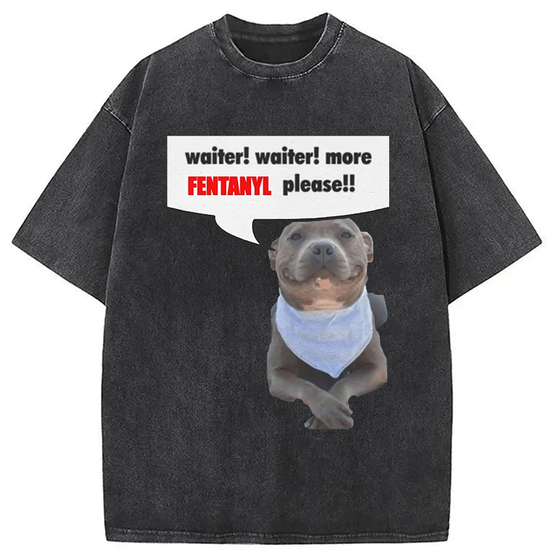 Waiter Waiter More Fentanyl Meme Washed T-Shirt Soft Cotton Daily Wear Tee Gifts For BFF Waiter Waiter More Fentanyl Meme Washed T-Shirt Soft Cotton Daily Wear Tee Gifts For BFF