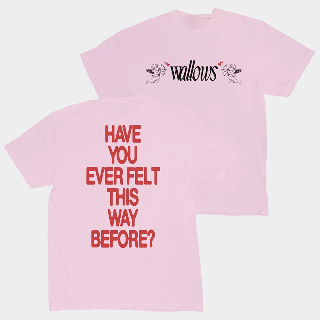 Wallows Merch Angel Wallows Shirt Have You Ever Felt This Way Before T-Shirt Rock Lovers Gifts