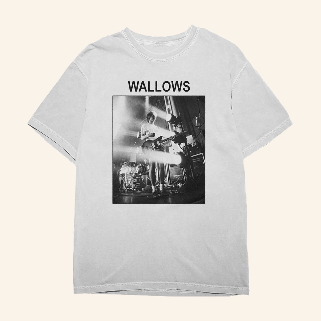 Wallows Merch Cole Photo T-Shirt Wallows Shirt Birthday Gifts For Rock Fans