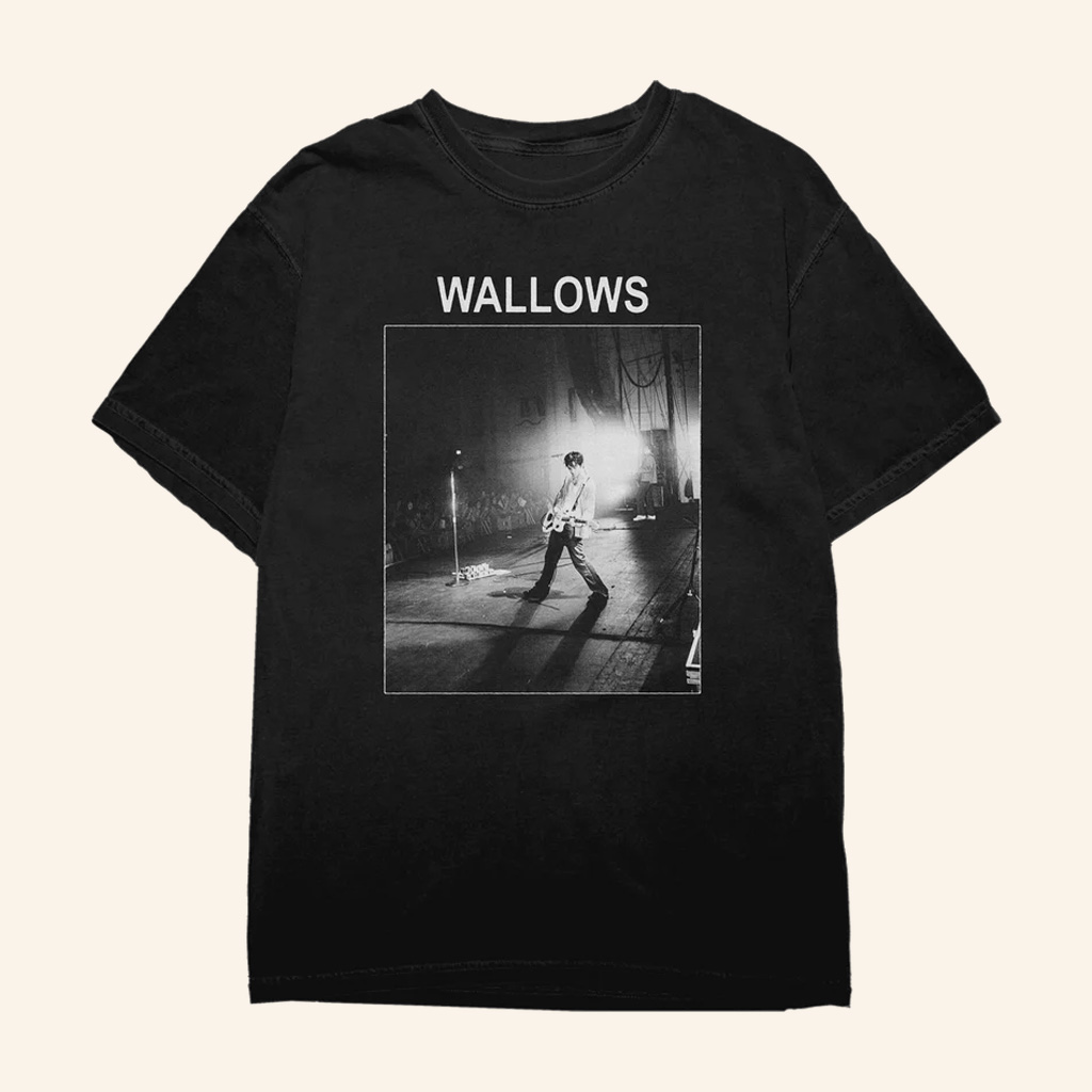 Wallows Merch Dylan Photo T-Shirt Birthday Gift For Rock Fans Wallows Merch Dylan Photo T-Shirt Birthday Gift For Rock Fans