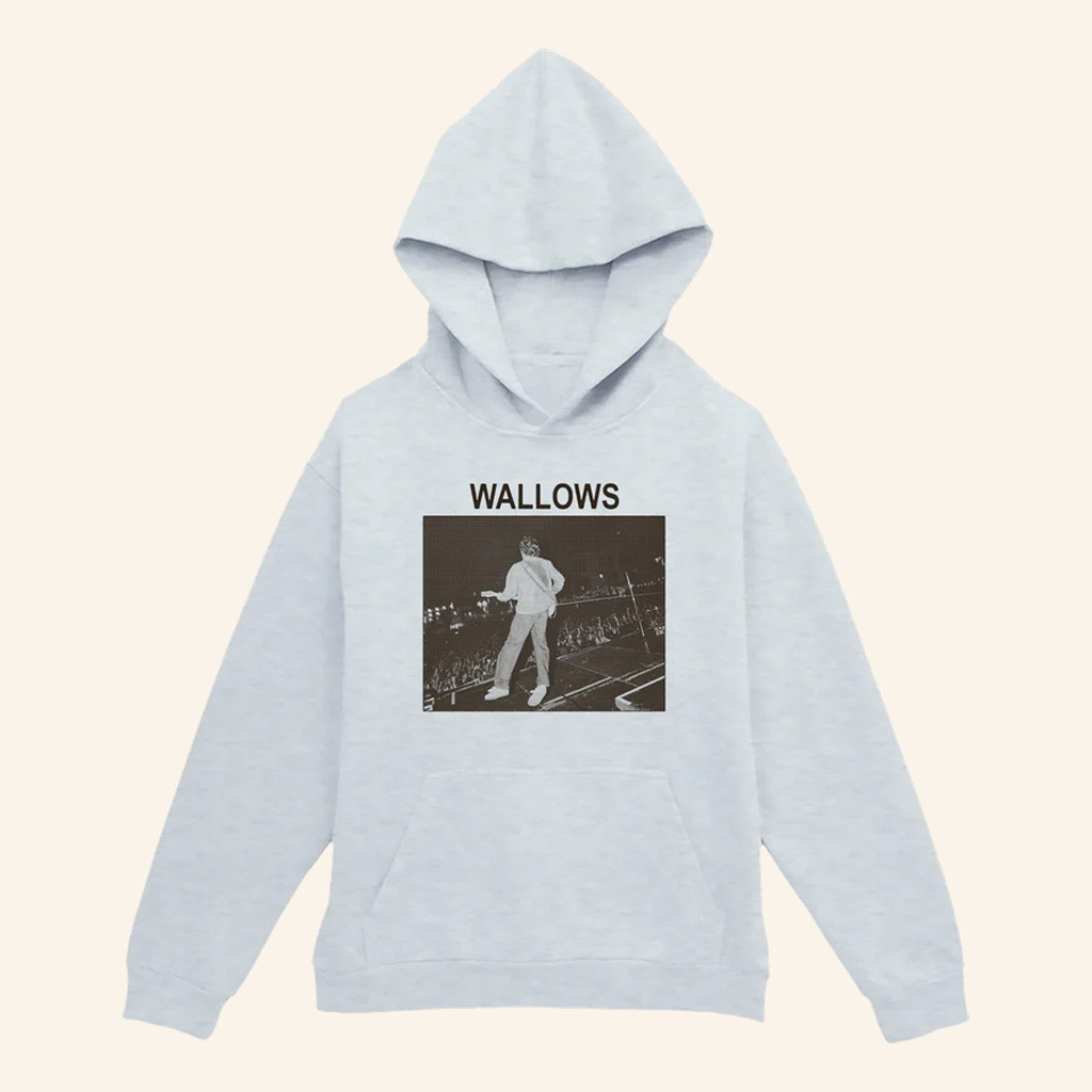 Wallows Merch Stage Crowd Photo Hoodie Birthday Gift For Husband Wallows Merch Stage Crowd Photo Hoodie Birthday Gift For Husband