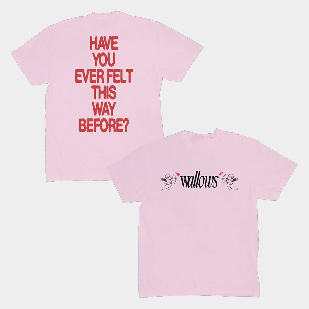 Wallows Merch Wallows Angel T-Shirt Have You Ever Felt This Way Before Shirt Gifts For Fans