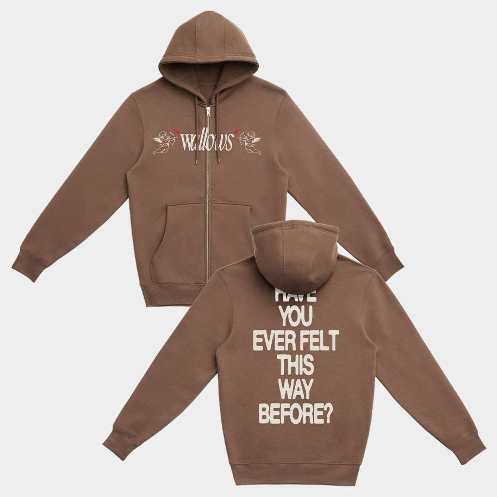 Wallows Merch Wallows Angel Zip Up Hoodie Birthday Gift For Sister