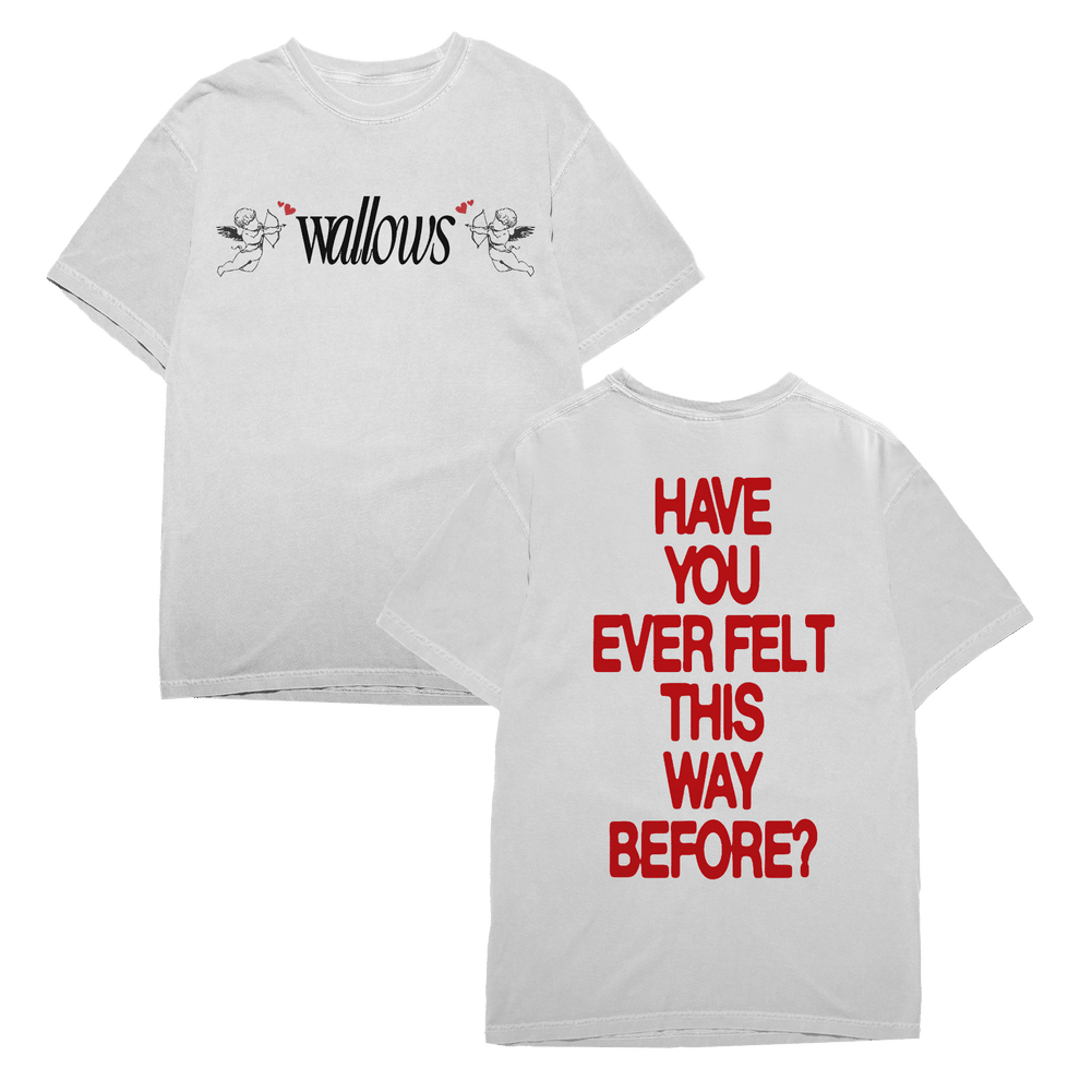 Wallows Tour Merch Angel Shirt Have You Ever Felt This Way Before The Wallows Band Tee