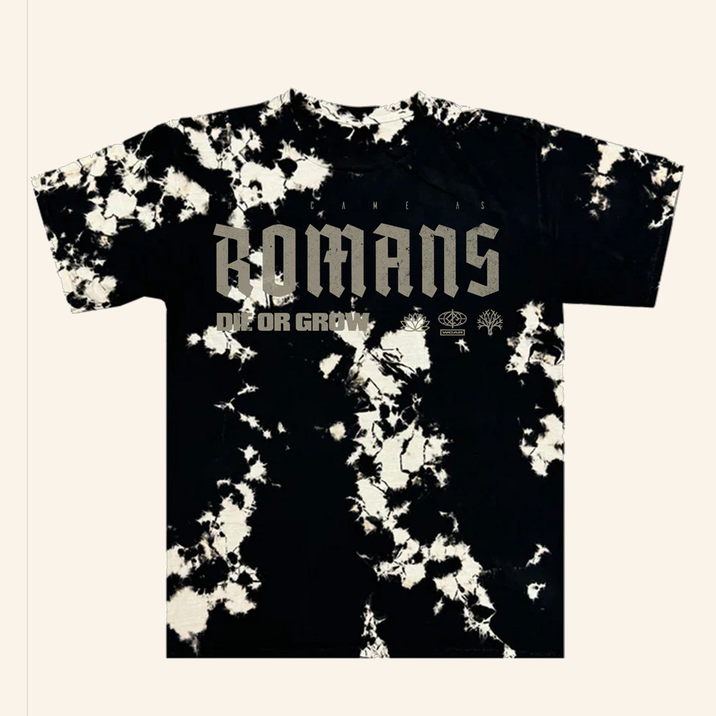 WCAR Band Merch Die Or Grow Tie Dye T-Shirt Xmas Presents For Brother WCAR Band Merch Die Or Grow Tie Dye T-Shirt Xmas Presents For Brother