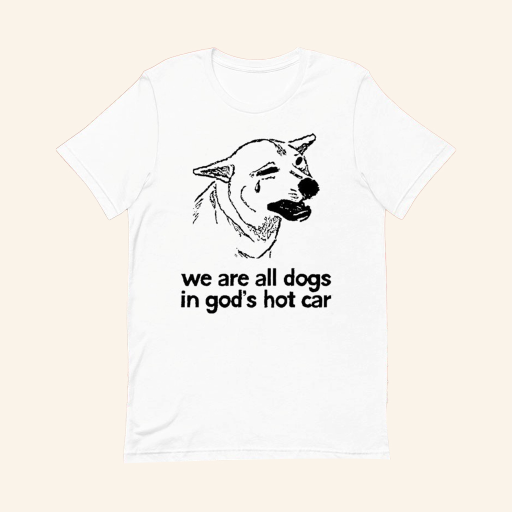 We Are All Dogs In God's Hot Car T-Shirt Humorous Meme Shirt Gifts For Friends