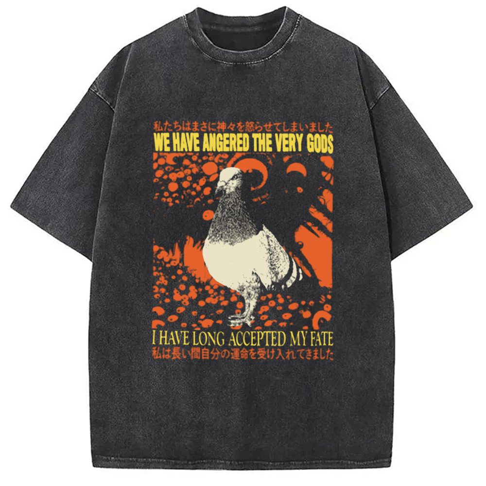 We Have Angered The Very Gods Washed T-Shirt Soft Comfortable Daily T Shirt Gifts For Him We Have Angered The Very Gods Washed T-Shirt Soft Comfortable Daily T Shirt Gifts For Him