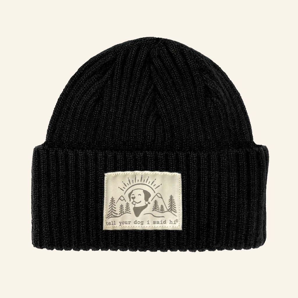 We Rate Dogs Merch Summit Pup Beanie Tell Your Dog I Said Hi Beanie Gifts For Besties