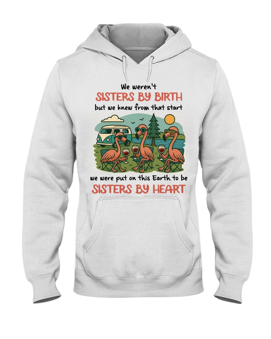 We Weren't Sisters By Birth But We Knew From That Start Hoodie Gift For Best Friends