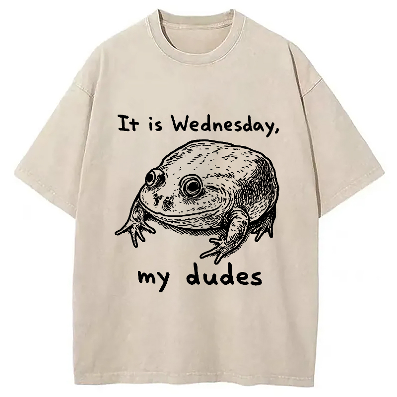 Wednesday Frog Vintage Washed T-Shirt Soft Cotton Daily Wear Tee Gifts For Him