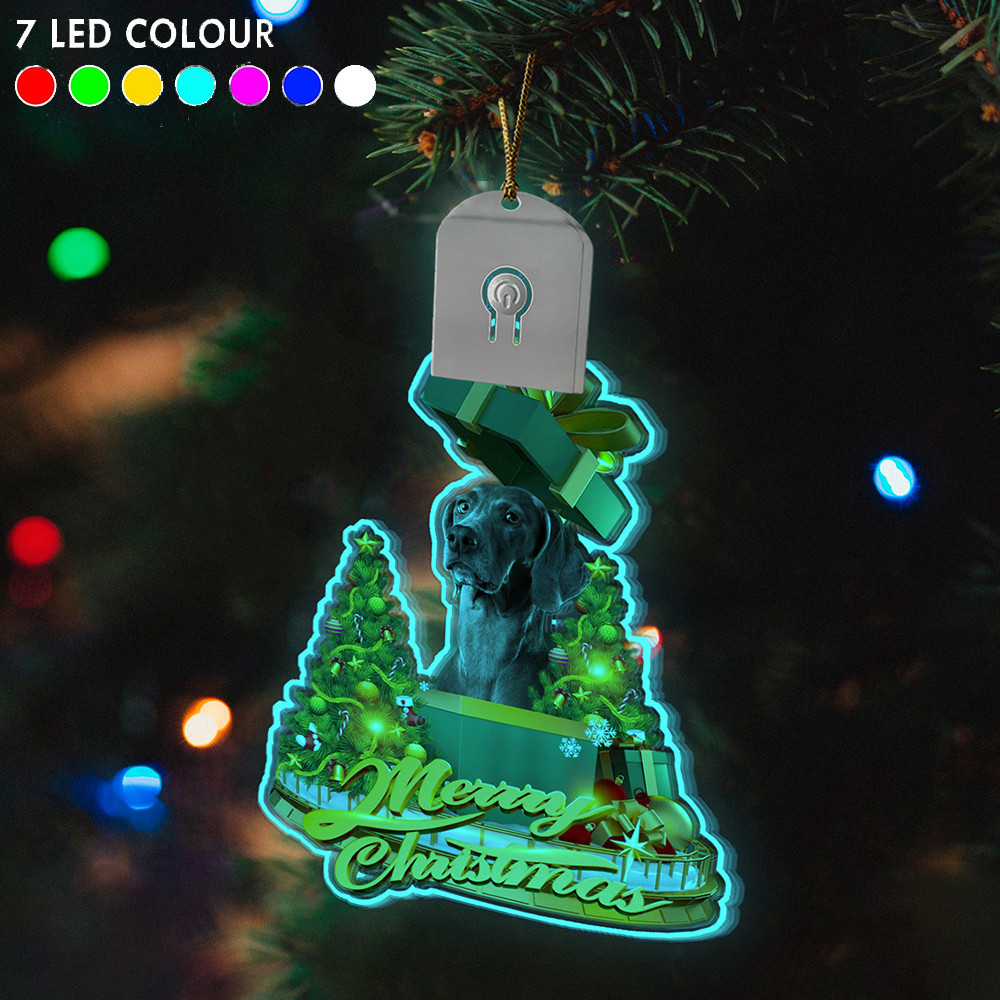 Weimaraner Led Christmas Tree Ornaments 2024 Lighted Christmas Ornament Dog Lovers Gift