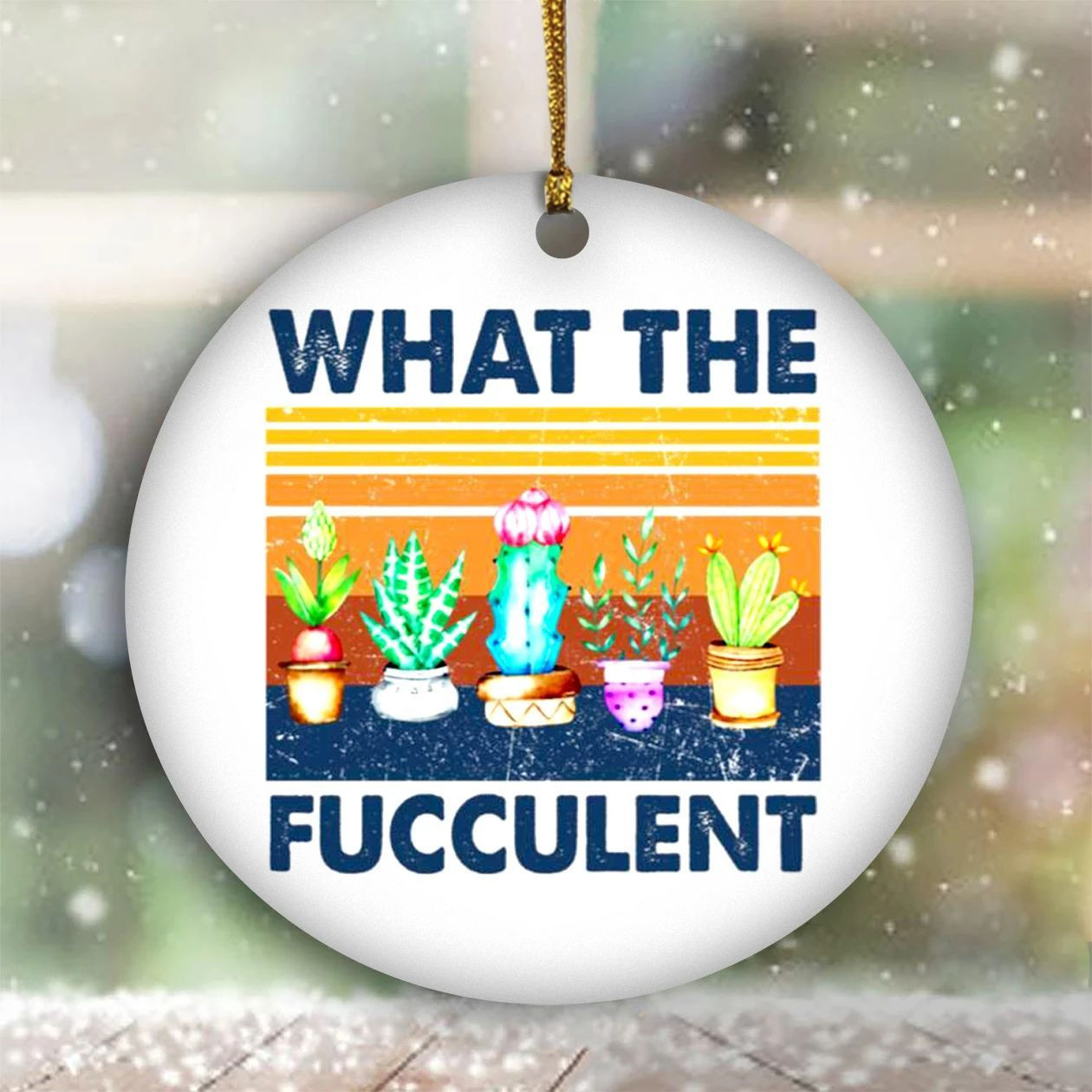 What The Fucculent Cactus Ornament Vintage Christmas Ornament Sets 2024