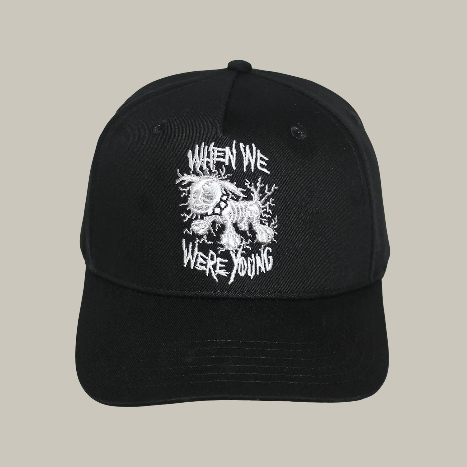 When We Were Young Hat Music Festival Merch Music Hat Gifts For Concert Outfits